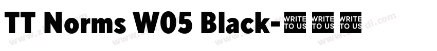 TT Norms W05 Black字体转换